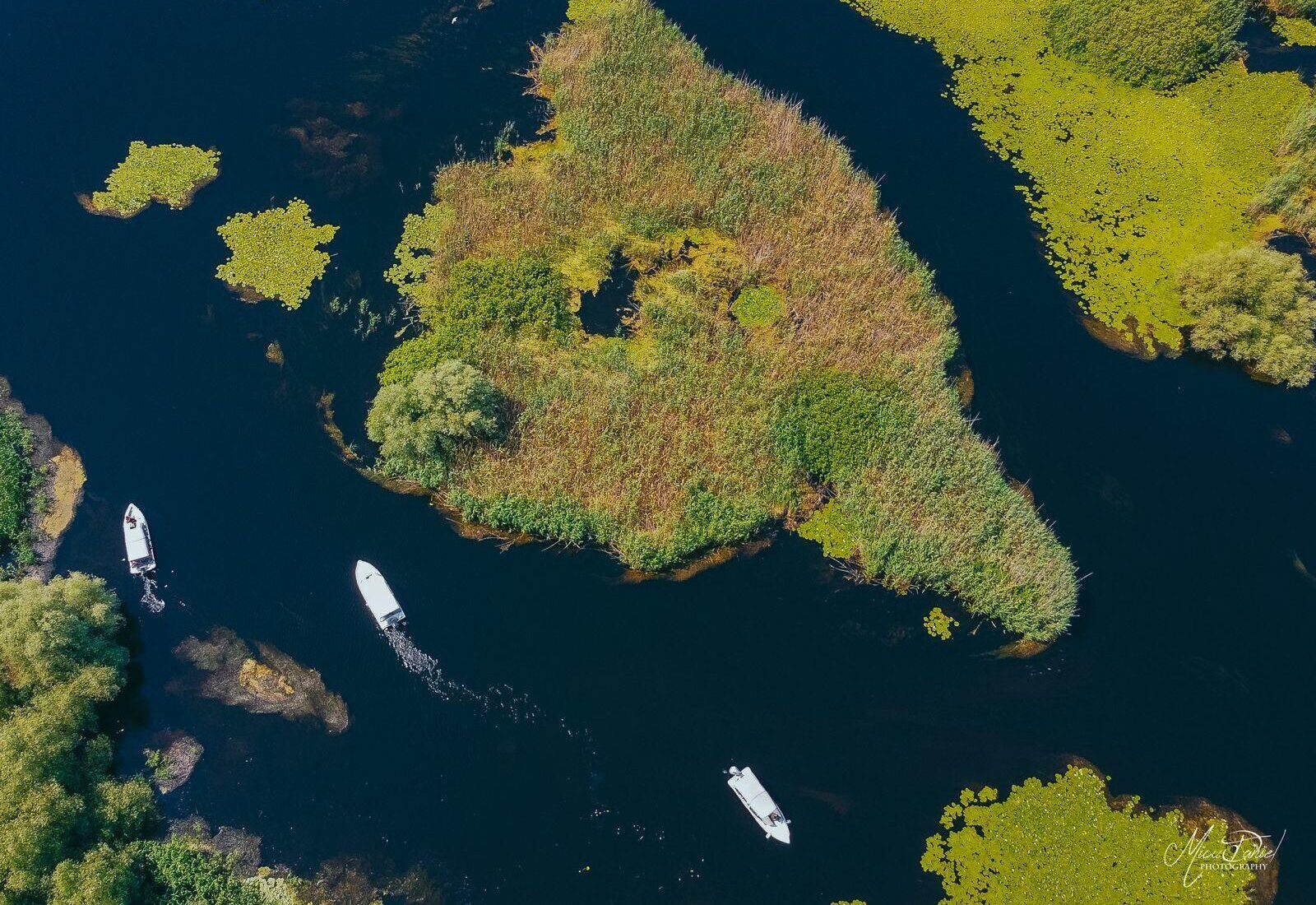 🚤 Evadare de o zi în inima Deltei Dunării 🏖️ 04.07.2026