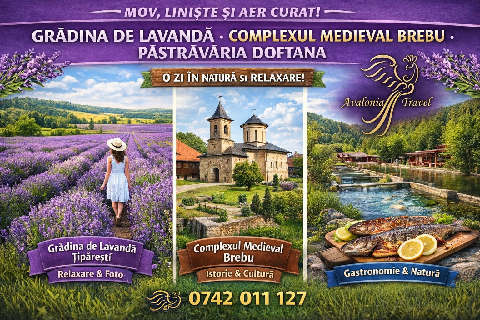 🪻Grădina de lavandă 🏰 Complexul Arhitectural Medieval Brebu 🐠 Păstrăvăria Doftana 21.06.2026